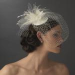 Bridal Bird Cage Veil